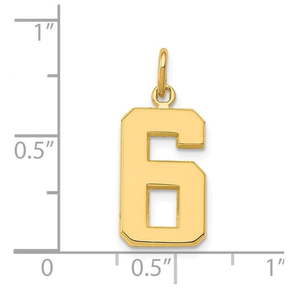 14k Yellow Gold, Athletic Collection Medium Polished Number 6 Pendant - Picture 4 of 6